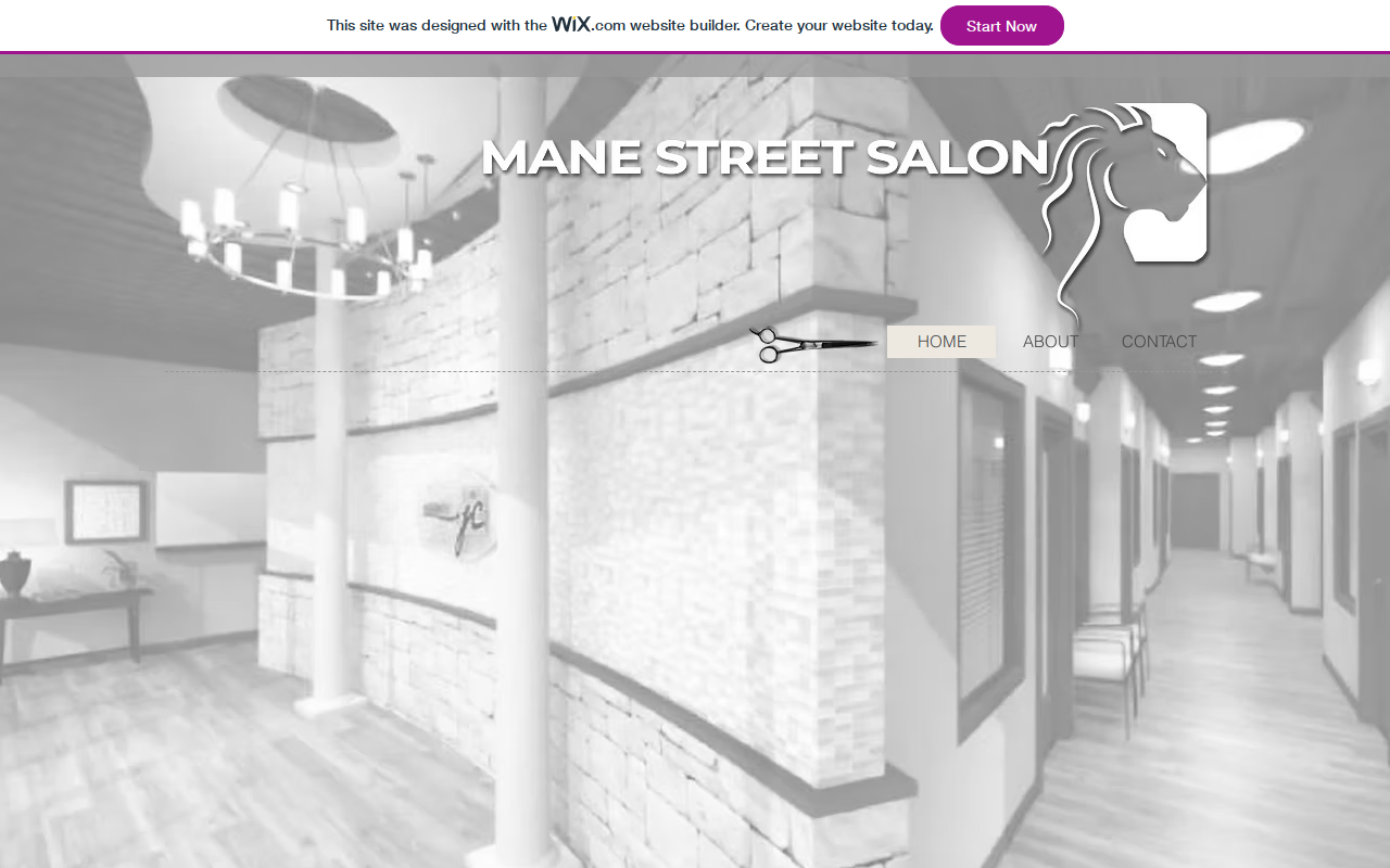 Positively Mane Street website preview