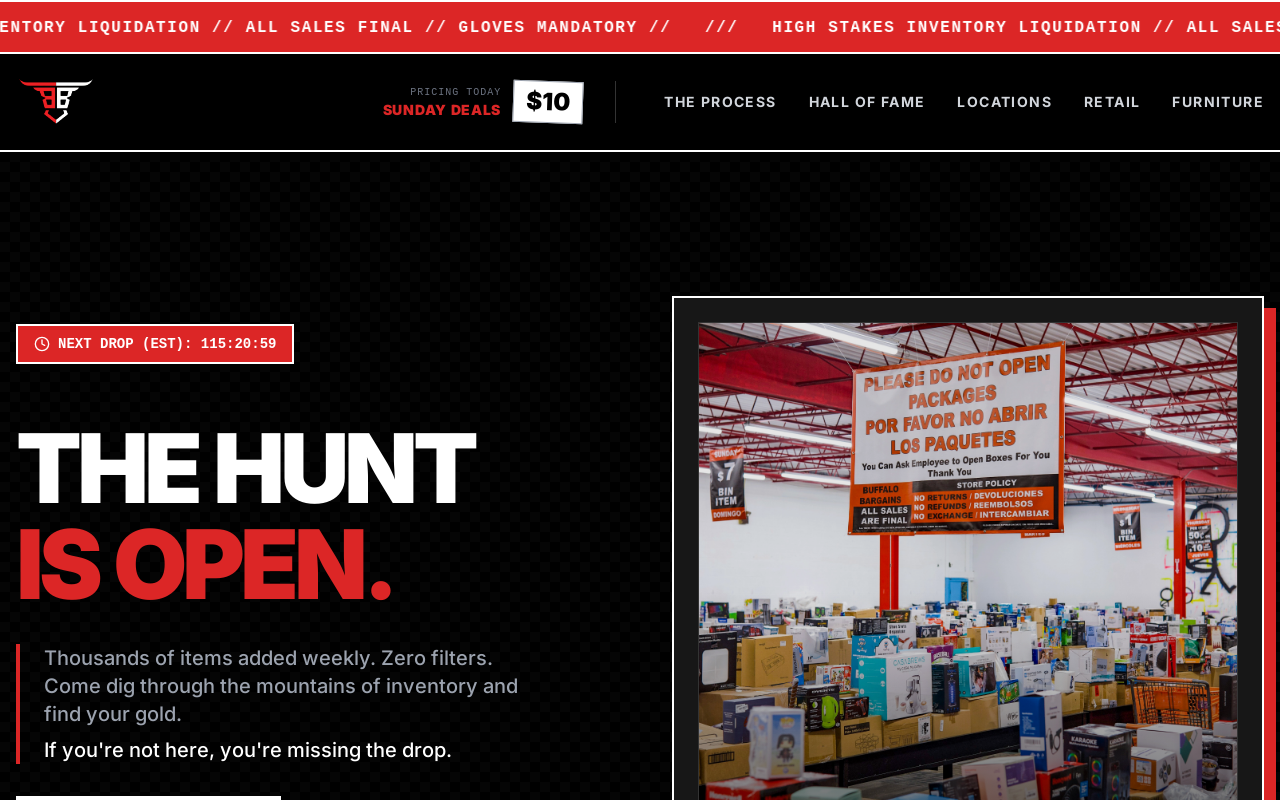 Buffalo Bargains Bins Store website preview