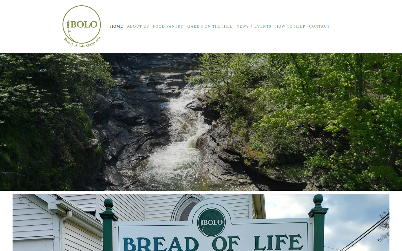 Gabe's on the Hill Thrift Shoppe website preview