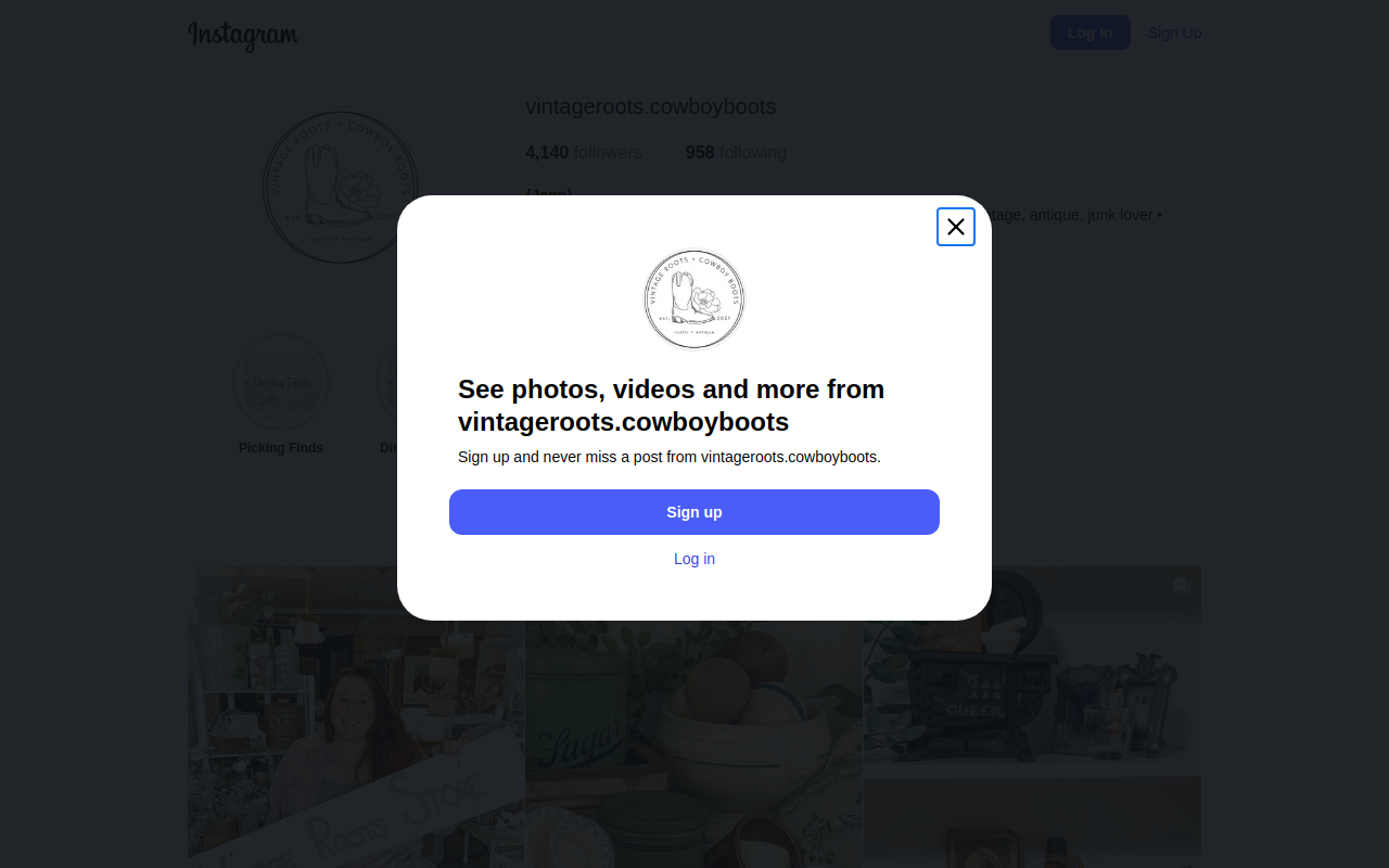 Vintage Roots Store website preview