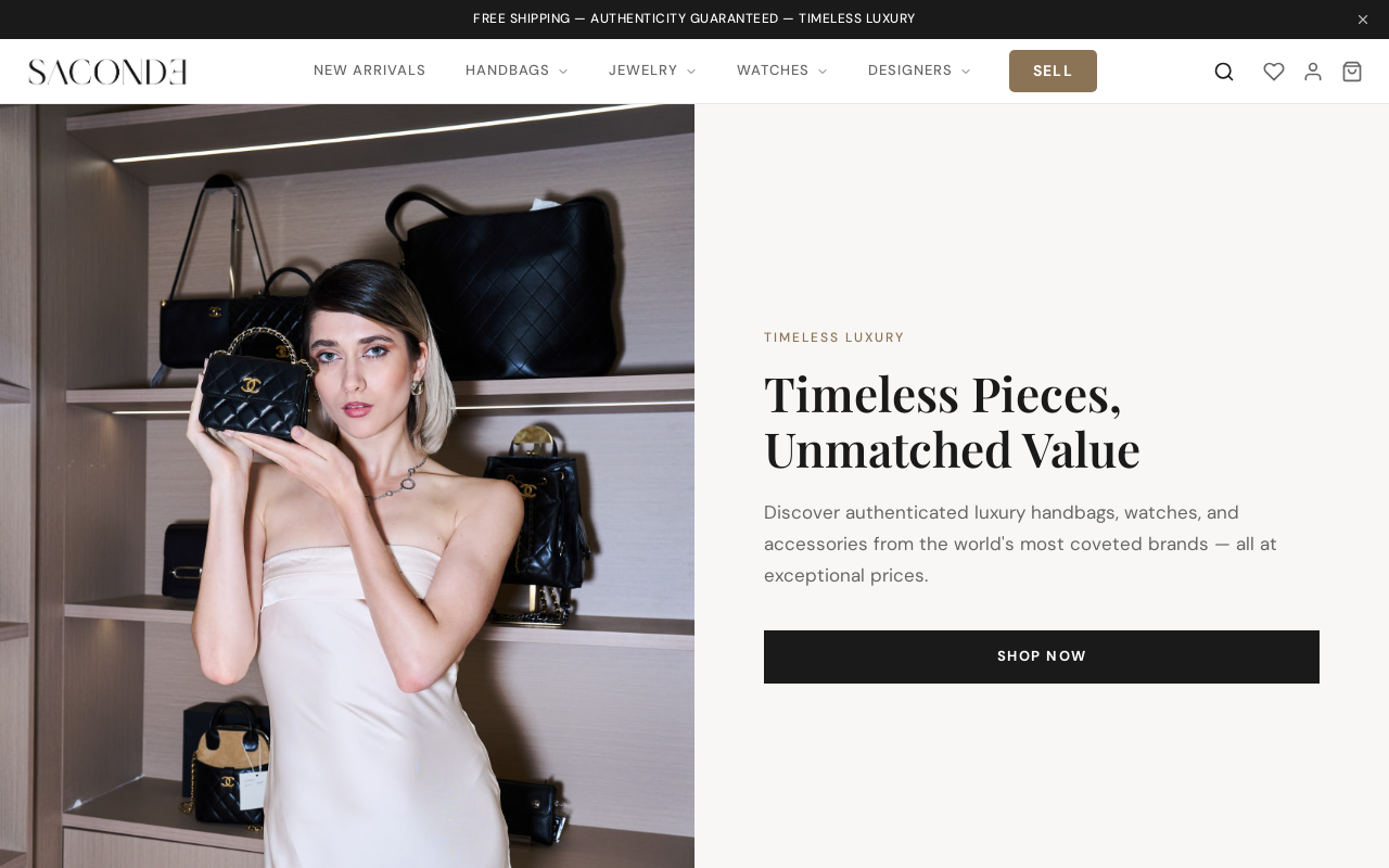 Saconde website preview