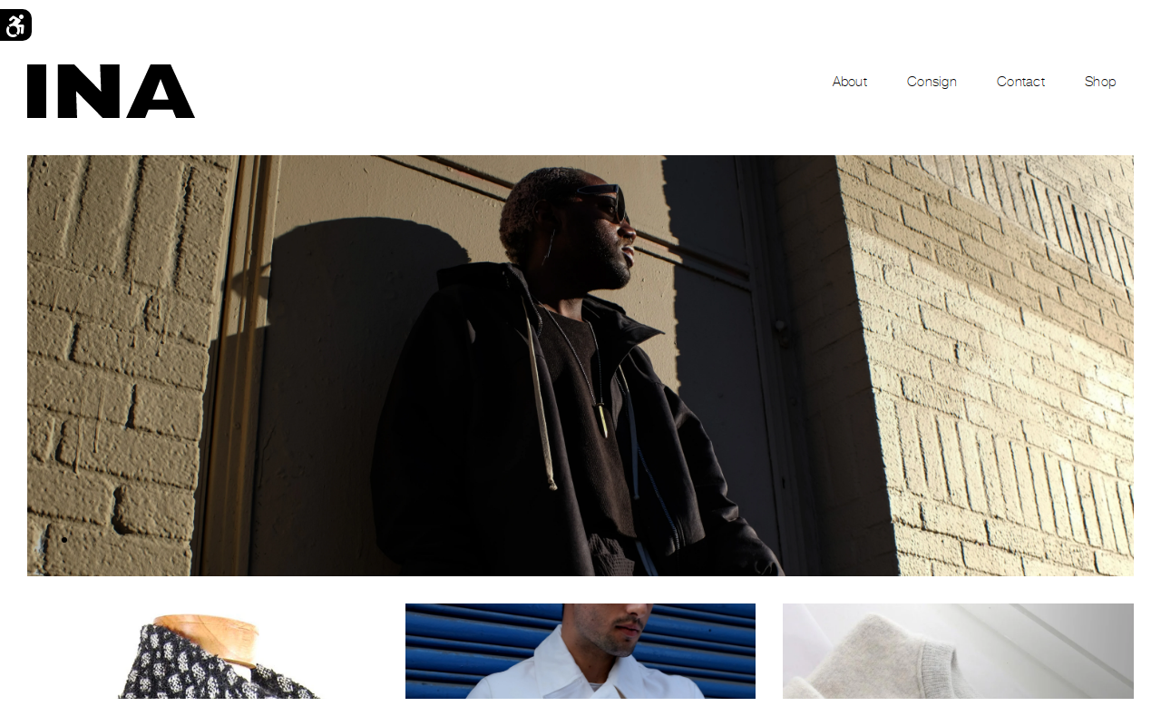 INA website preview