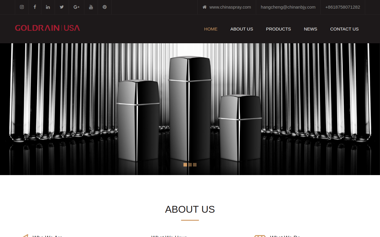 Gold Rain Inc. website preview