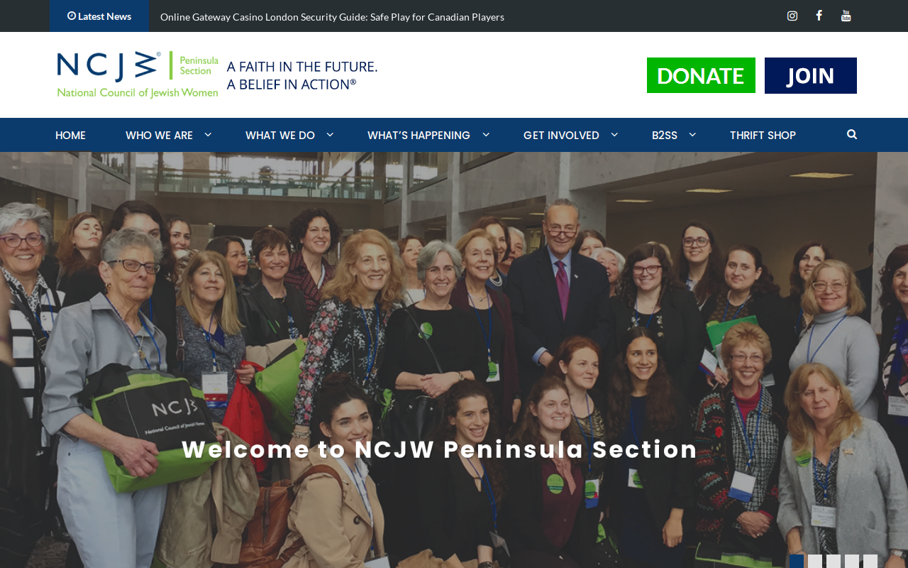 National Council of Jewish Women Thrift Shop website preview