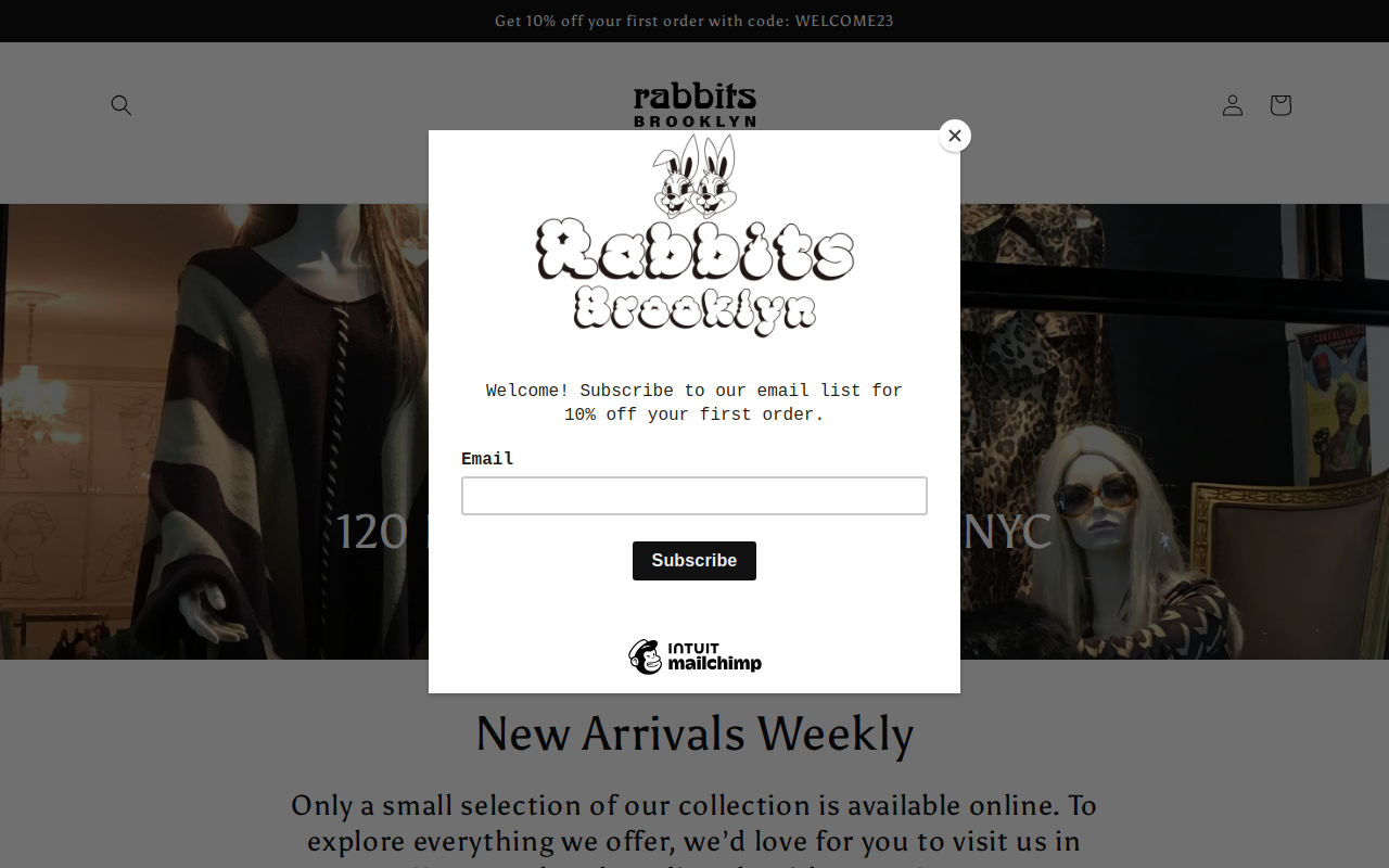 Rabbits website preview