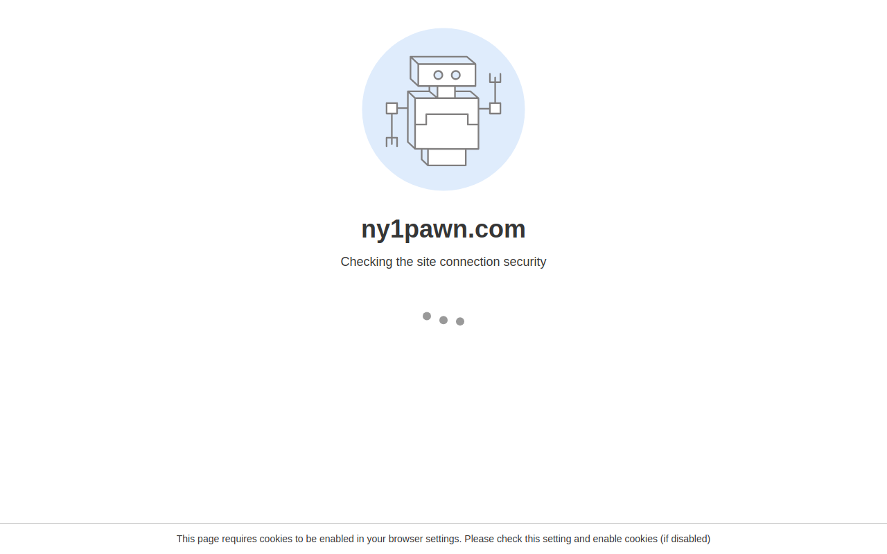 New York One Pawn website preview