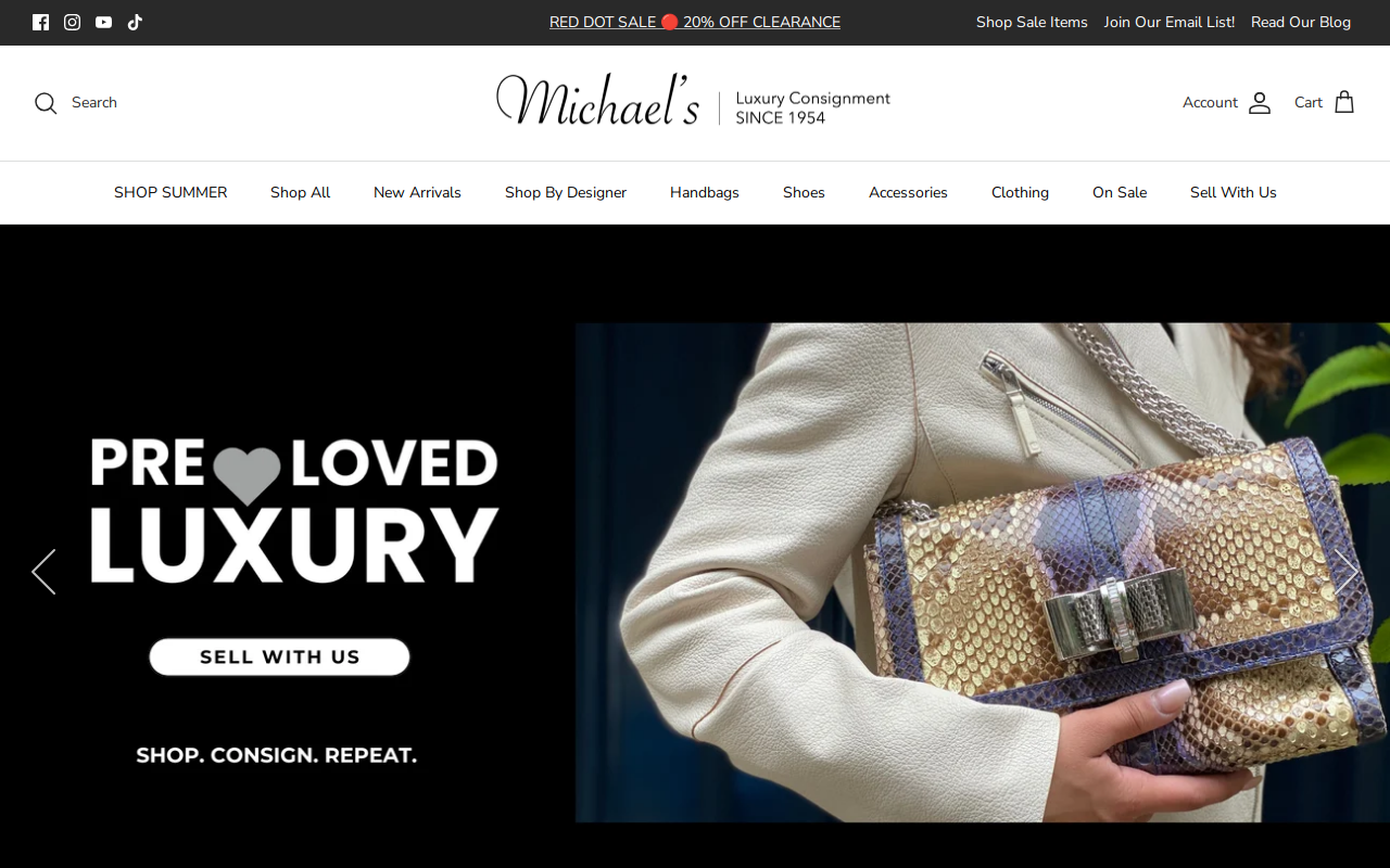Michael's website preview