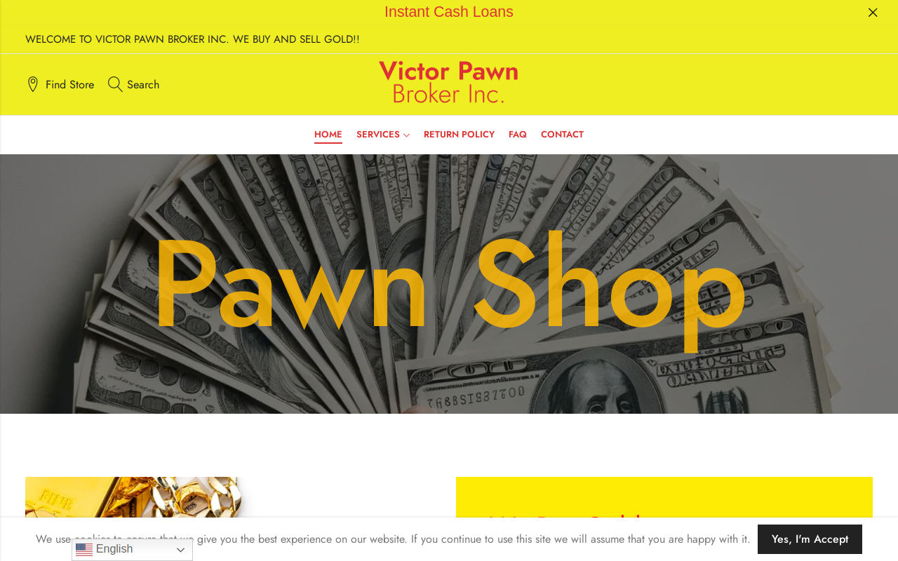 Victor Pawn Broker Inc. website preview