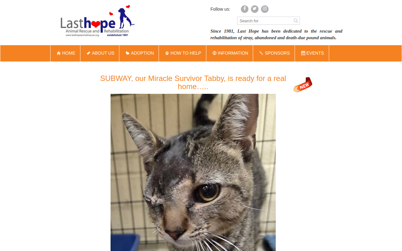 Last Hope Animal Rescue Thrift Shop website preview