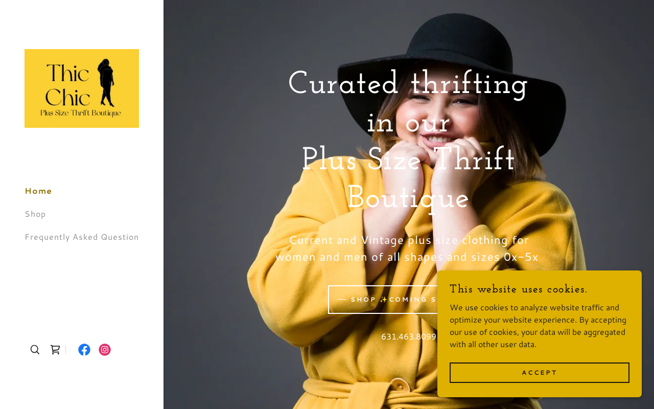 Thic Chic Plus Size Boutique website preview