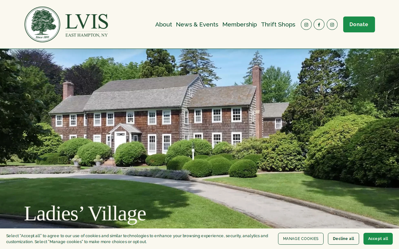 Bargain Box Lvis Thrift Shop website preview