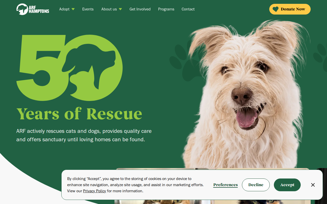 ARF Thrift & Treasure Shop website preview