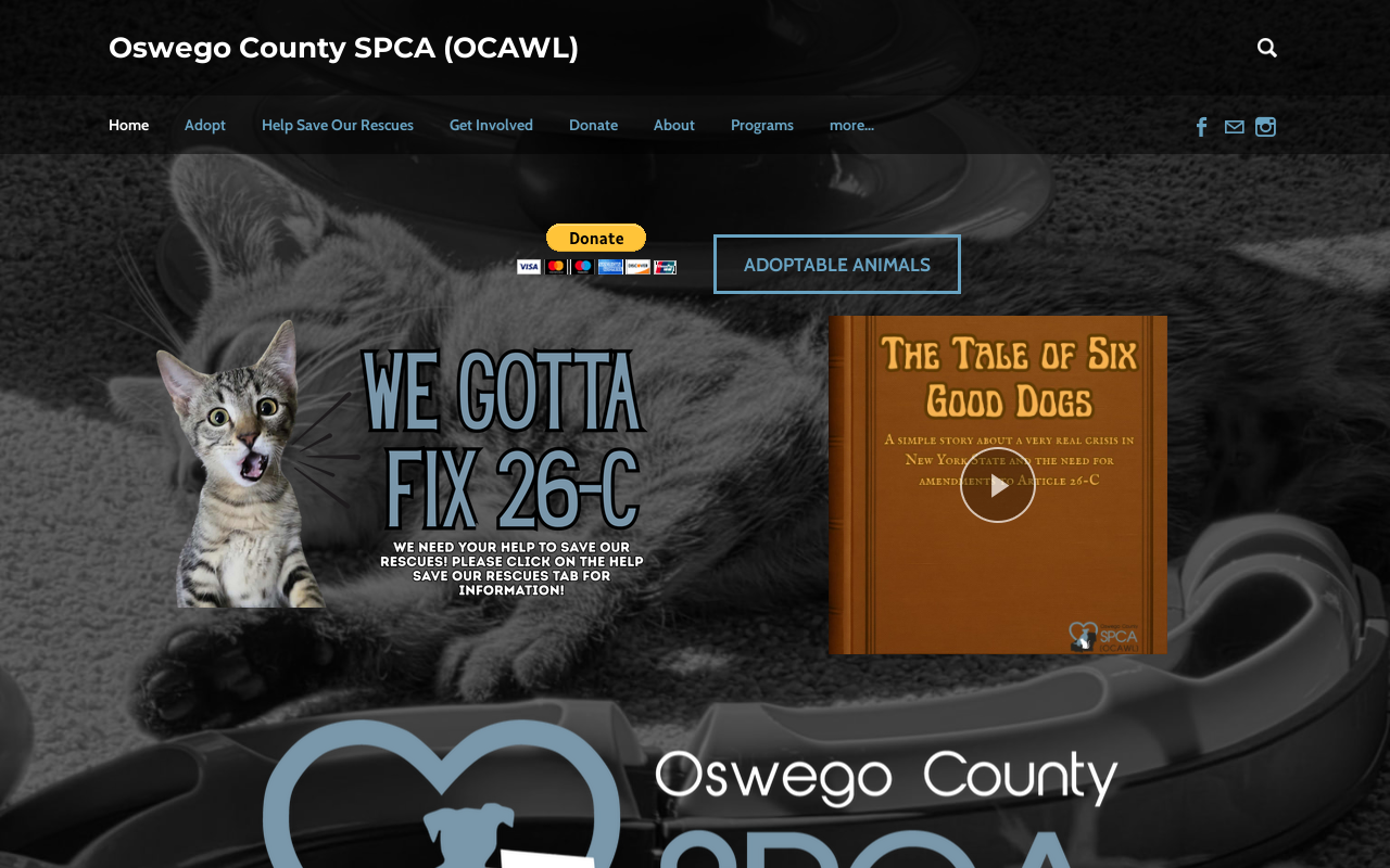 SPCA Thrift Store website preview