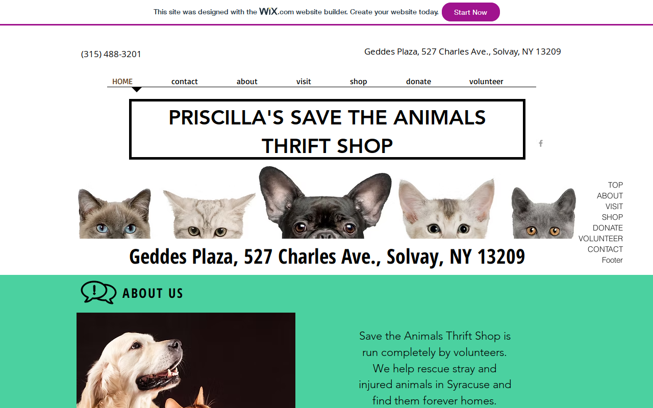 Priscilla's Save the Animals Thrift Shop website preview
