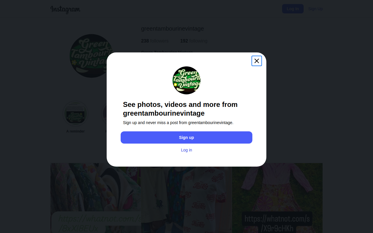 Green Tambourine Vintage website preview