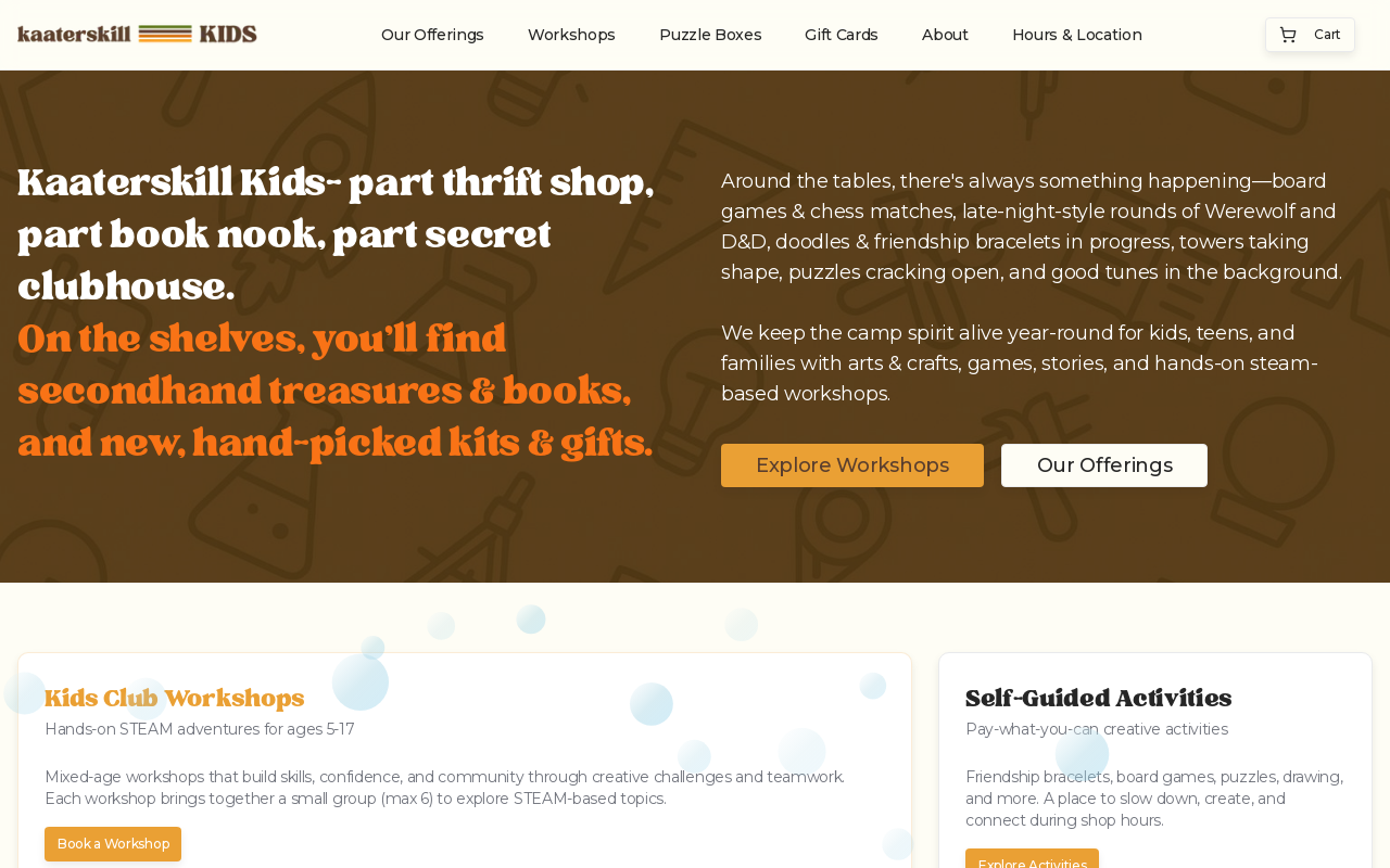 Kaaterskill Kids website preview