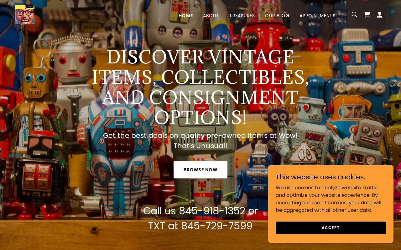 Wow! That's Unusual! website preview
