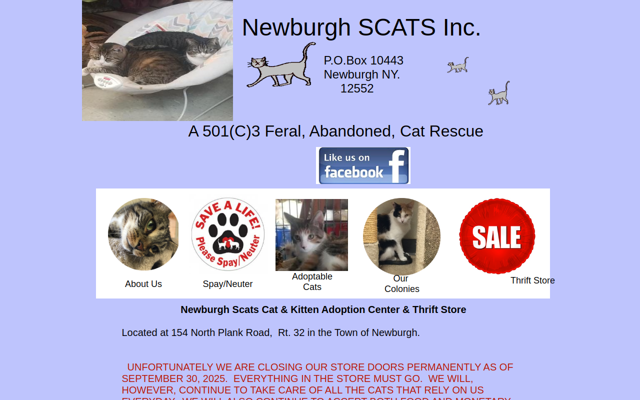 Newburgh Scats Inc website preview