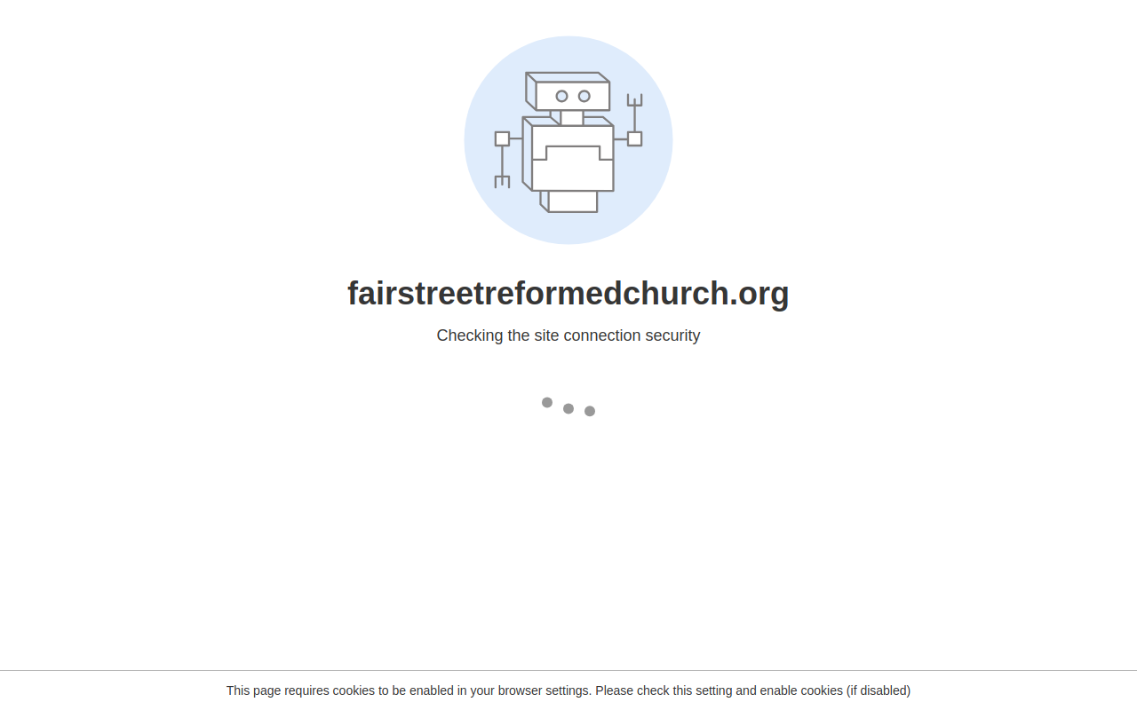 Fairly New Thrift Shop website preview