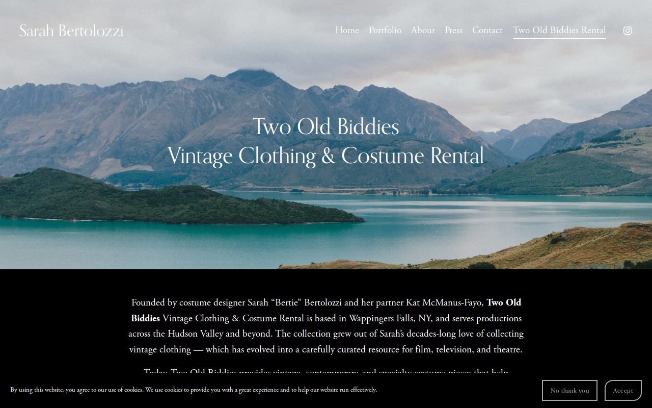 Two Old Biddies website preview