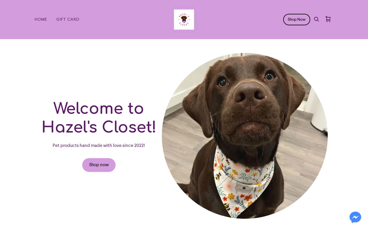 Hazel's Closet website preview