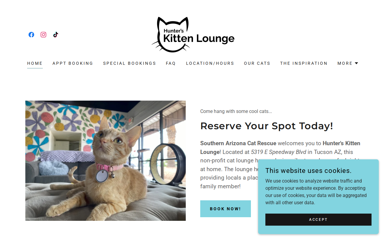 Hunter's Kitten Lounge website preview