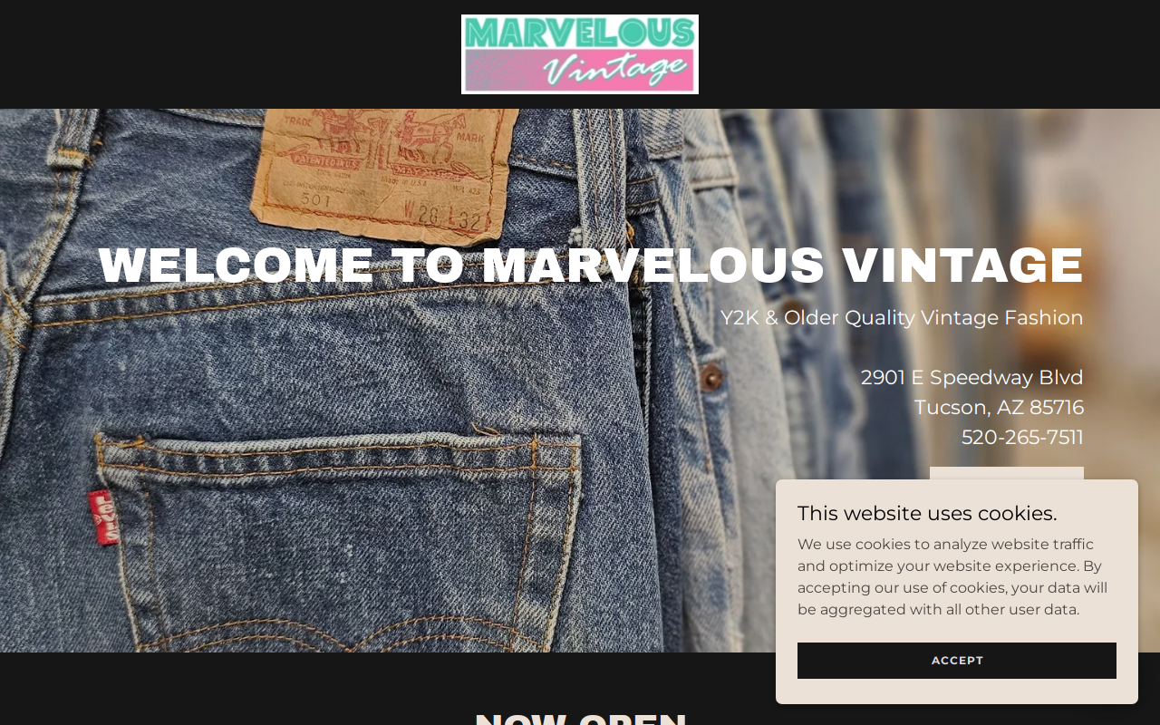 Marvelous Vintage website preview